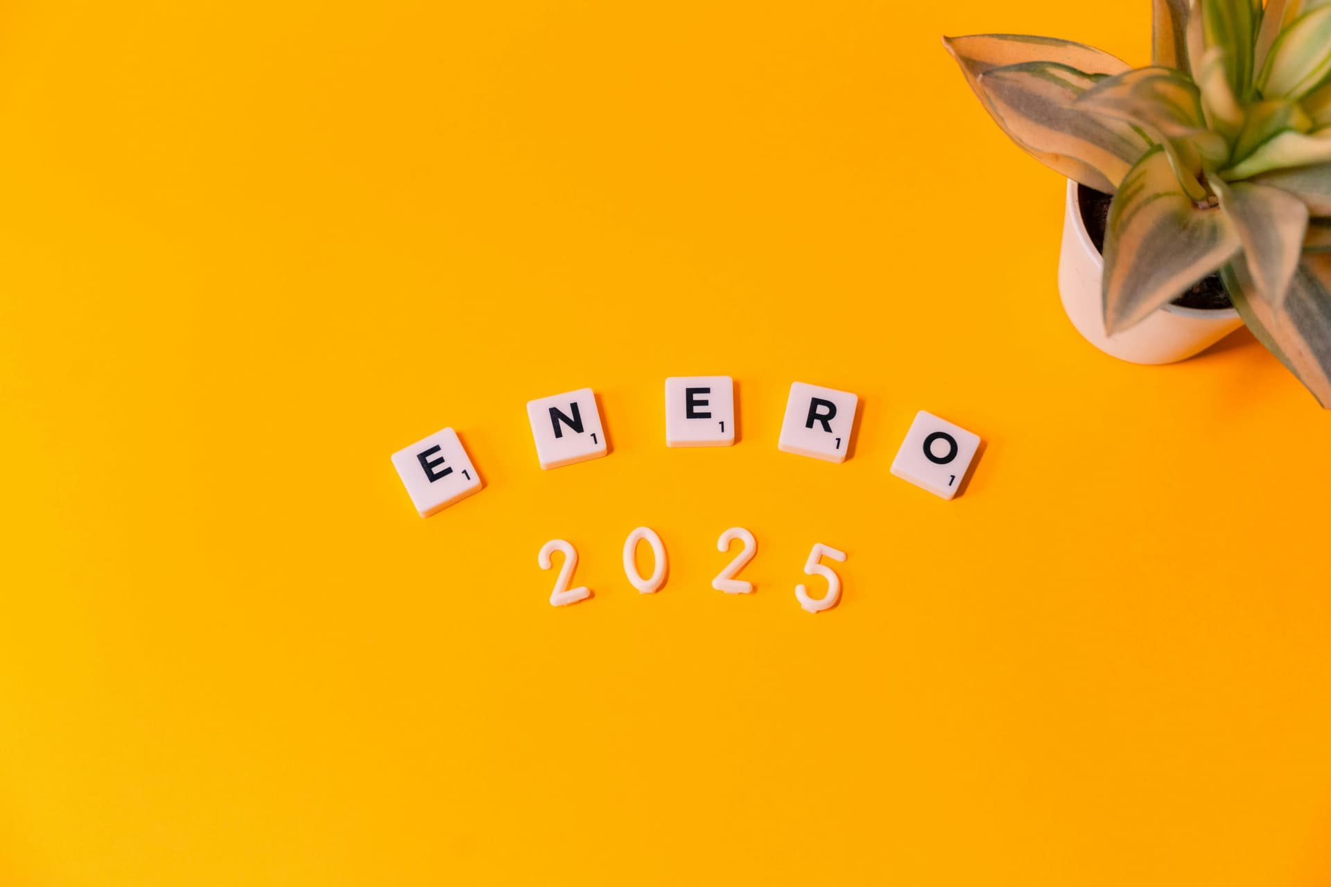 How to Completely Transform Yourself in One Year